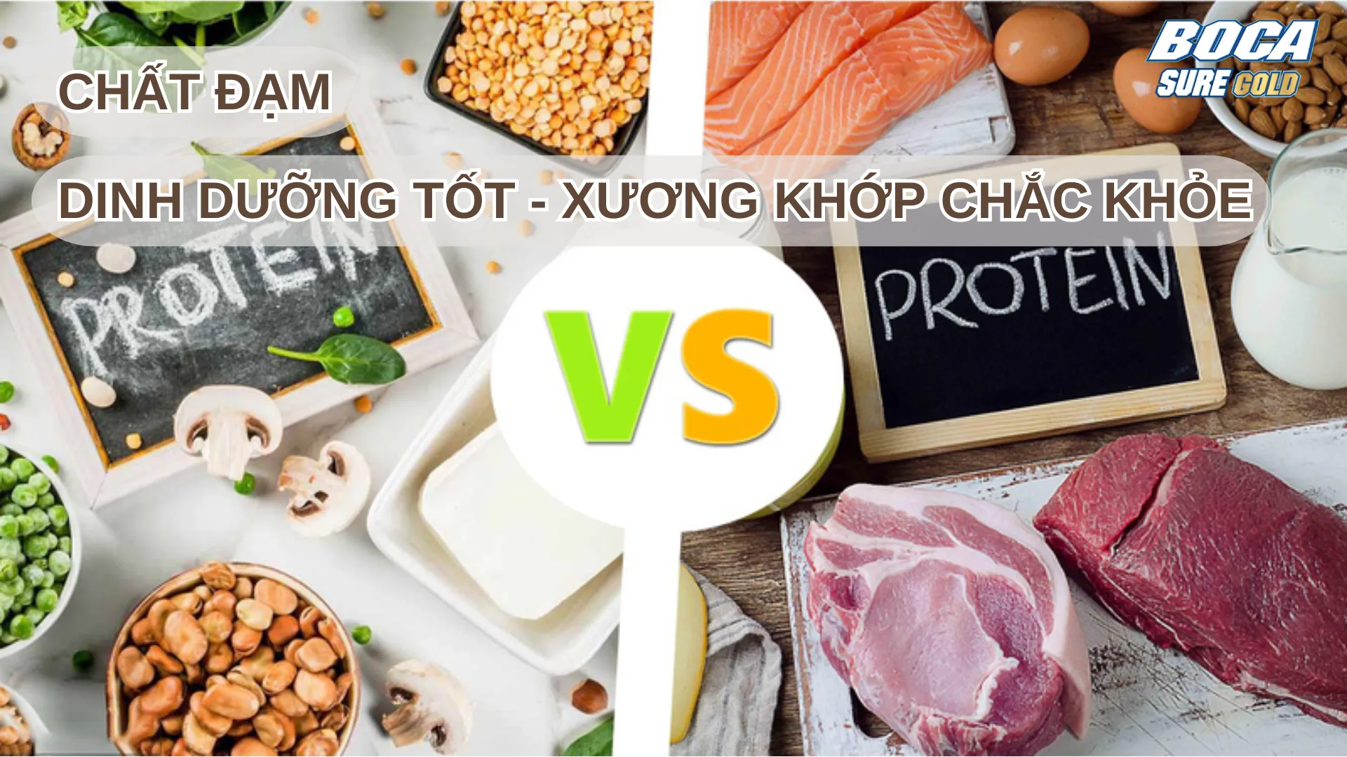 Tại Sao Trong Chất Đạm Lại Có Dinh Dưỡng Bảo Vệ Xương Khớp?